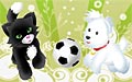 猫狗足球赛
