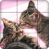 猫咪拼图