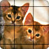 小猫拼图