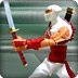 武士格斗精装版