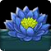 莲花粒子传导