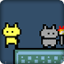 猫咪回家