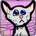 打野猫