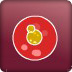 泡泡坦克竞技场